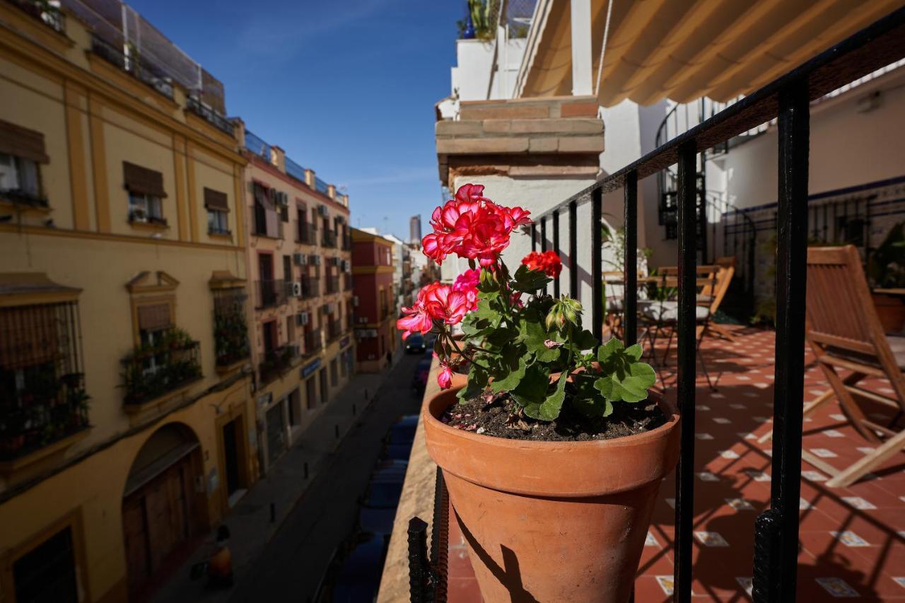 Casa Pureza, Seville